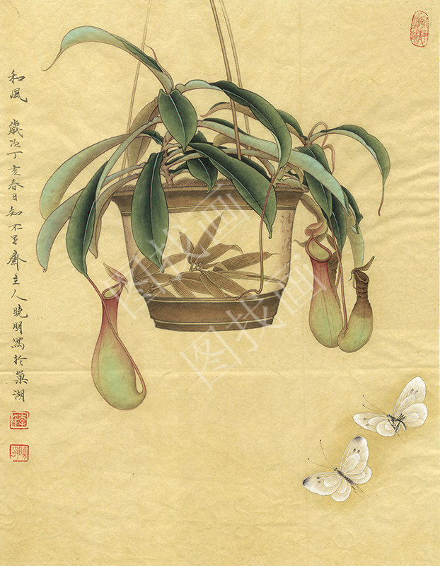 近现代 李晓明 和风 30x38cm